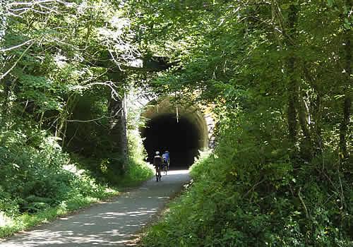 Photo Gallery Image - Railway Tunnel on Drake's Trail nr Shaugh Bridge