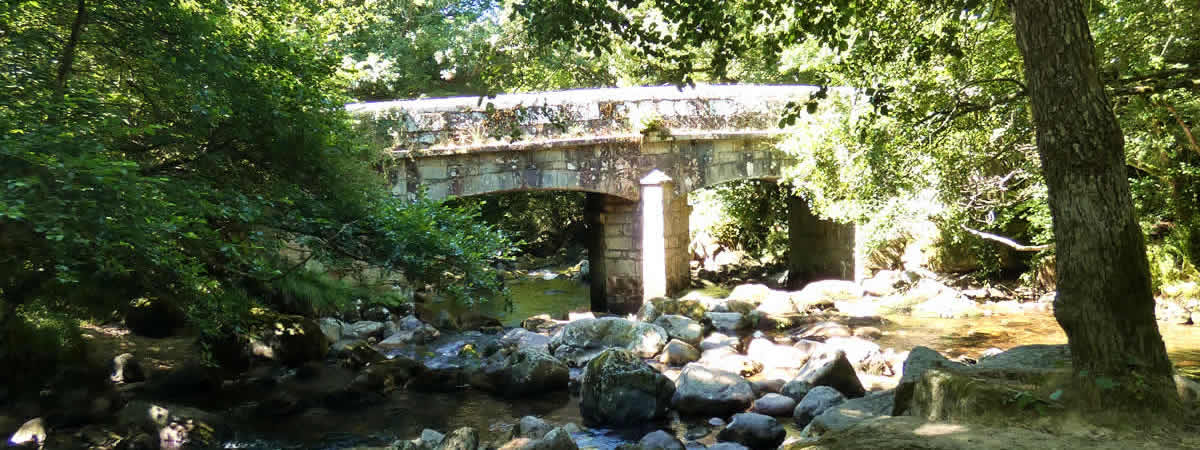 Shaugh Bridge