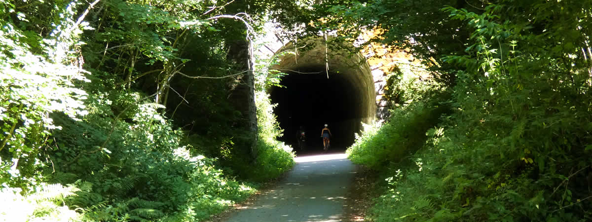 Tunnel on cycle trial near Shaugh Bridge