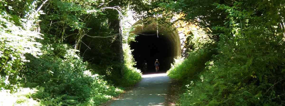 Shaugh Bridge